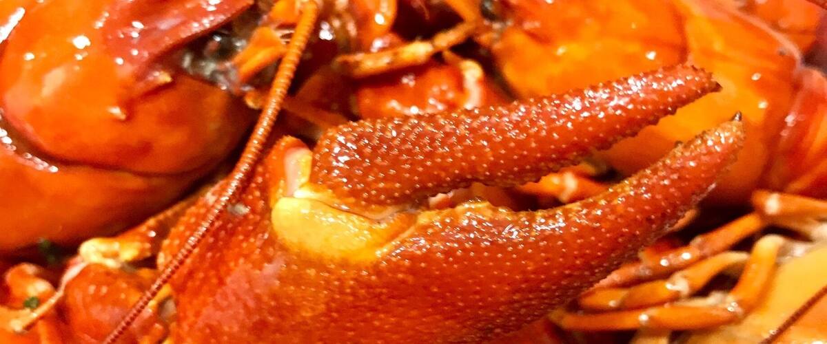 #goodeats Did you ever heard of the Swedish crayfish party? 🦞🇸🇪🦞
A crayfish party is a traditional summertime eating and drinking celebration in the Nordic countries. The tradition originated in Sweden, where a crayfish party is called a kräftskiva. 🦞 🇸🇪 🦞
I do living in Arizona USA but I have great friends coming from Sweden where we celebrated the party this year! #crayfish #sweden #arizona