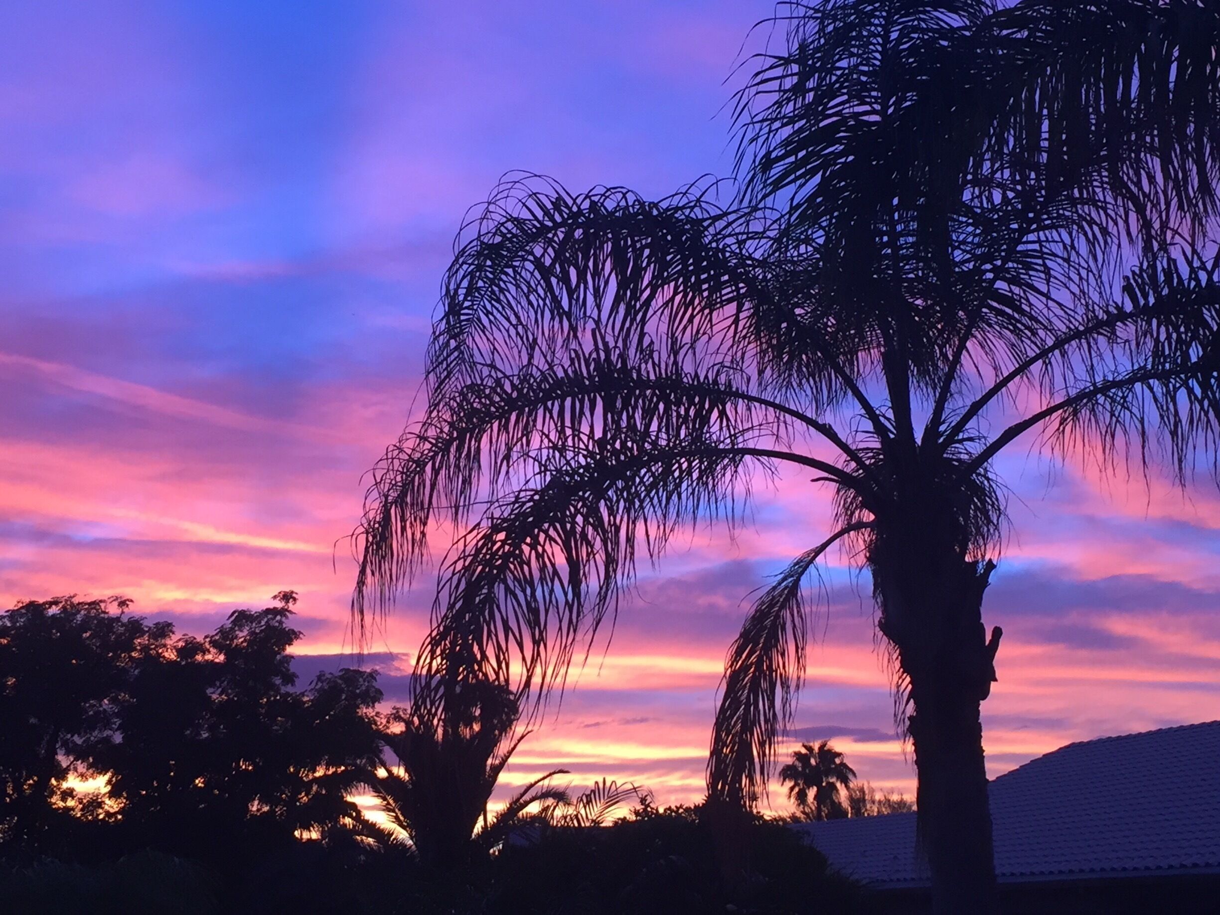 Sunset in the desert #nofilter