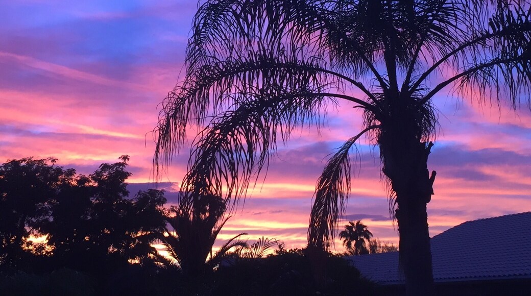 Sunset in the desert #nofilter