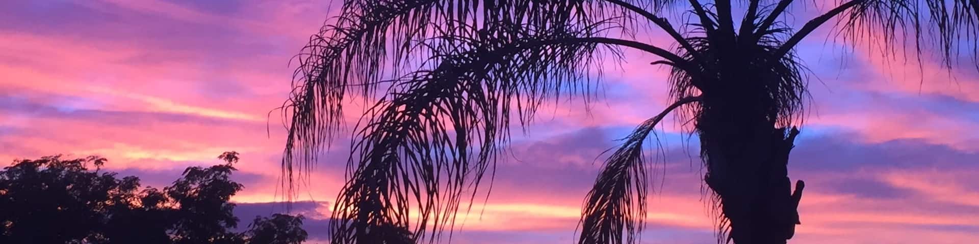 Sunset in the desert #nofilter