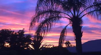 Sunset in the desert #nofilter