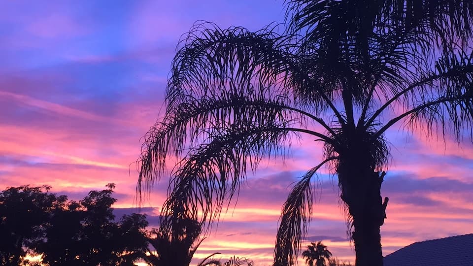 Sunset in the desert #nofilter