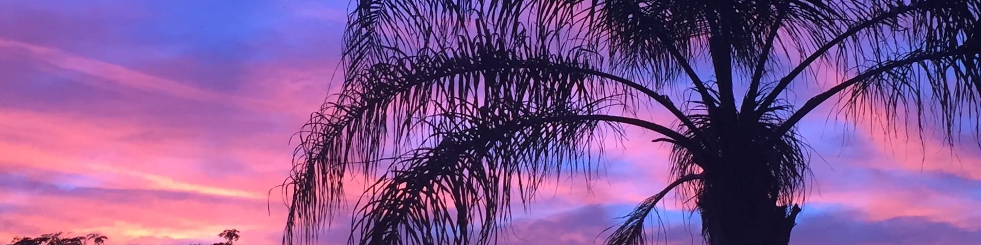 Sunset in the desert #nofilter