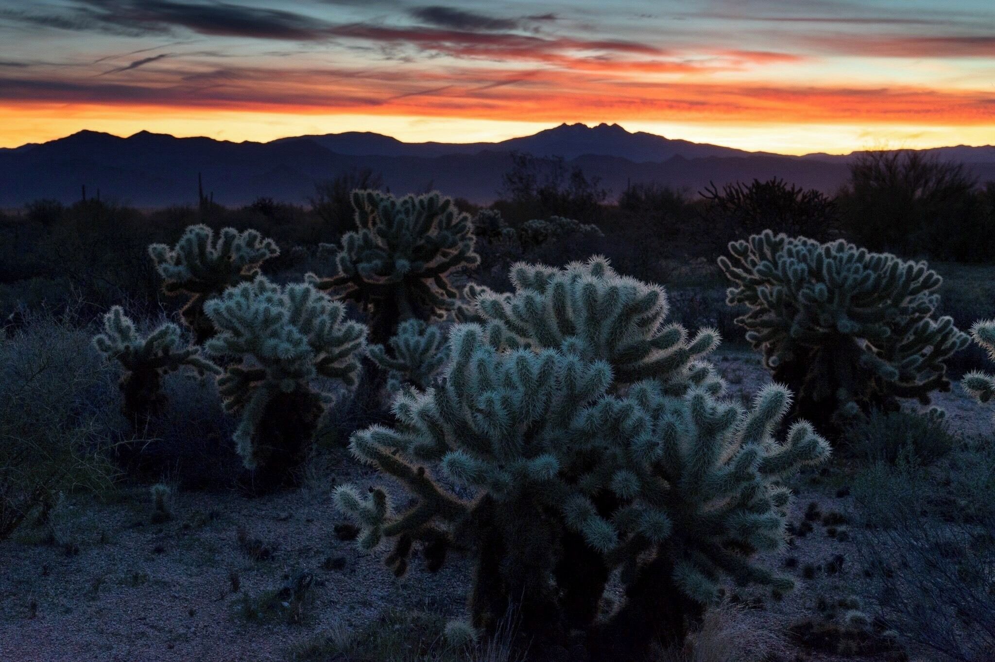 Morning light in the Tonto National Forest  #Adventure
