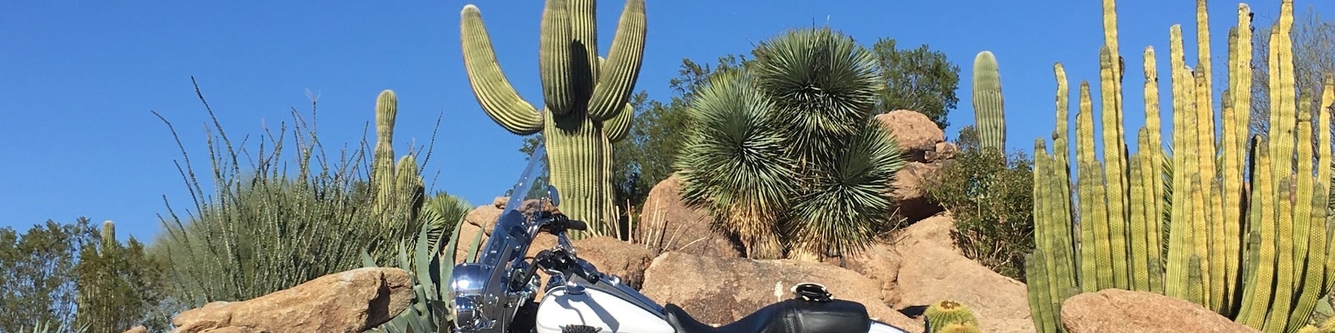 Road to Bartlett Lake
Take your time enjoy the view - advise to not speed - even a little.