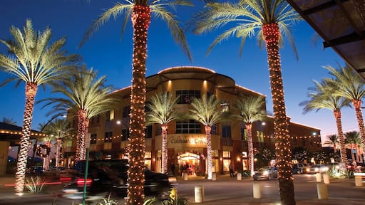 Scottsdale showing street scenes, night scenes and tropical scenes