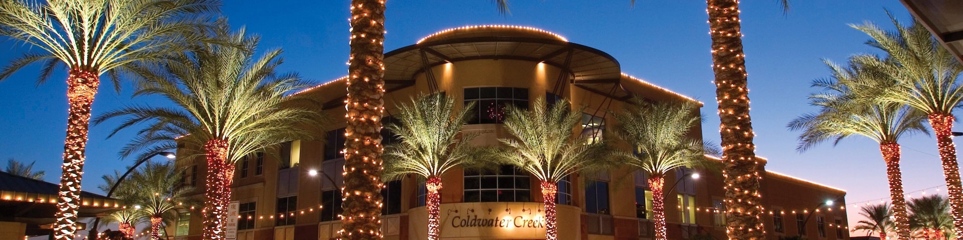 A hotel with palm trees and string lights.
