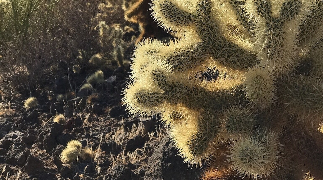 Beautiful hike in Scottsdale, AZ