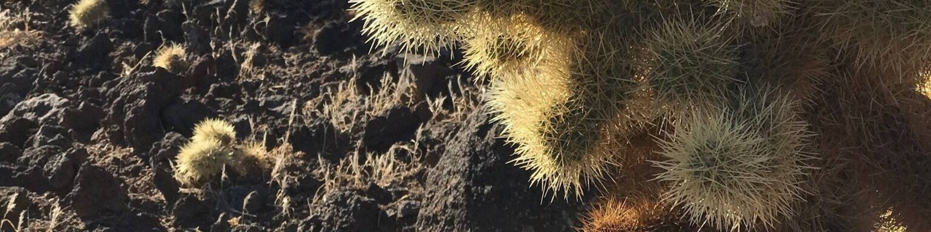 Beautiful hike in Scottsdale, AZ