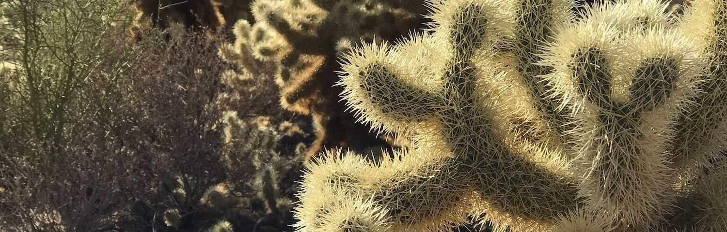 Beautiful hike in Scottsdale, AZ