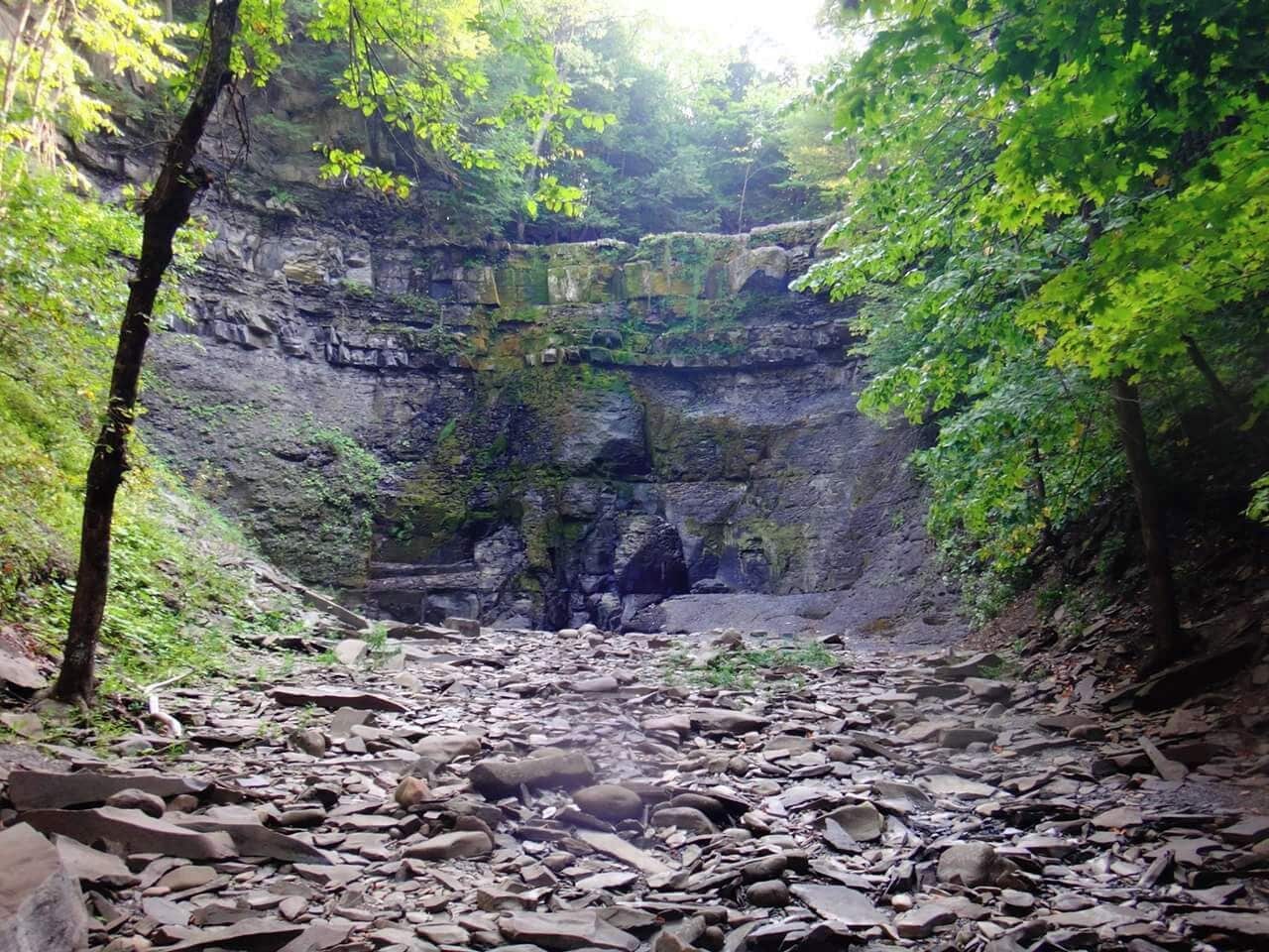 The Almy D. Coggleshall Plotter Kill Preserveis a 632-acre nature reserve and hiking area located on Route 159 in the town of Rotterdam, Schenectady County, New York State. There are three waterfalls which vary from 40ft to 60ft. 