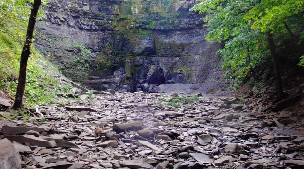 The Almy D. Coggleshall Plotter Kill Preserveis a 632-acre nature reserve and hiking area located on Route 159 in the town of Rotterdam, Schenectady County, New York State. There are three waterfalls which vary from 40ft to 60ft.