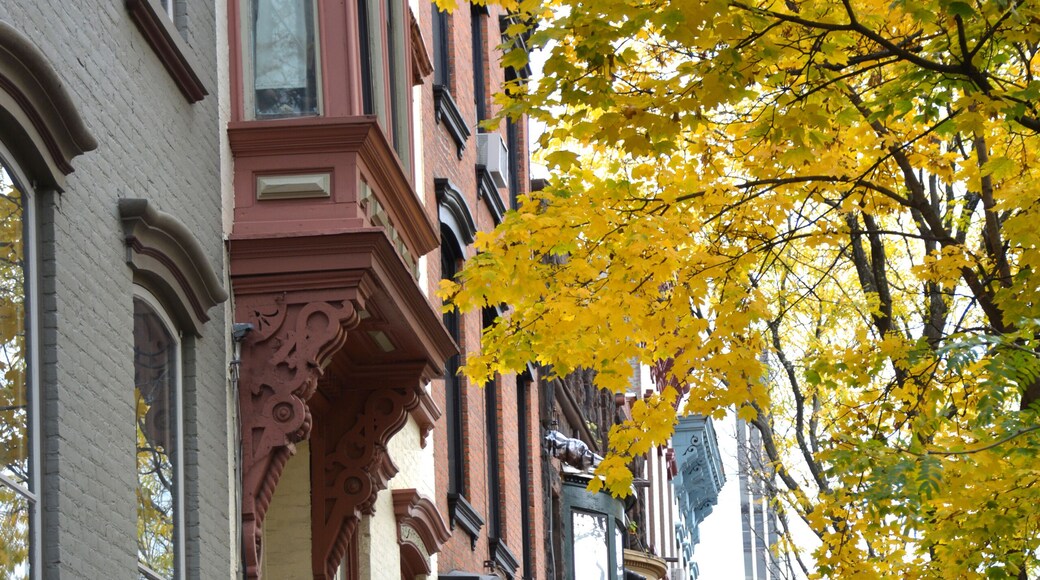 Fall street scene in historic down town neighborhood of Albany, New York