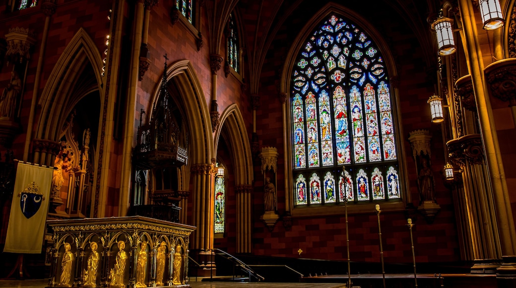 Cathedral of the Immaculate Conception