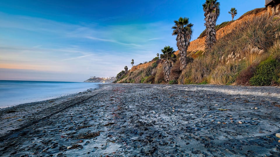 A rocky beach with palm trees and cliffs.