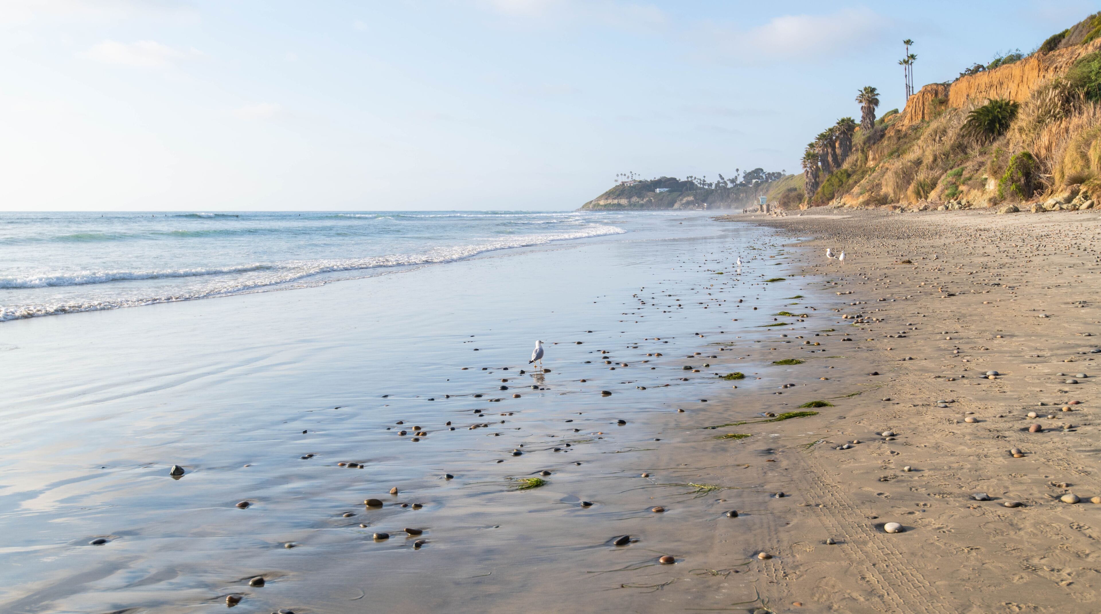 Travel background of the gorgeous California coast, sea salt and spray, beach wash, and wet sand of the Pacific Ocean