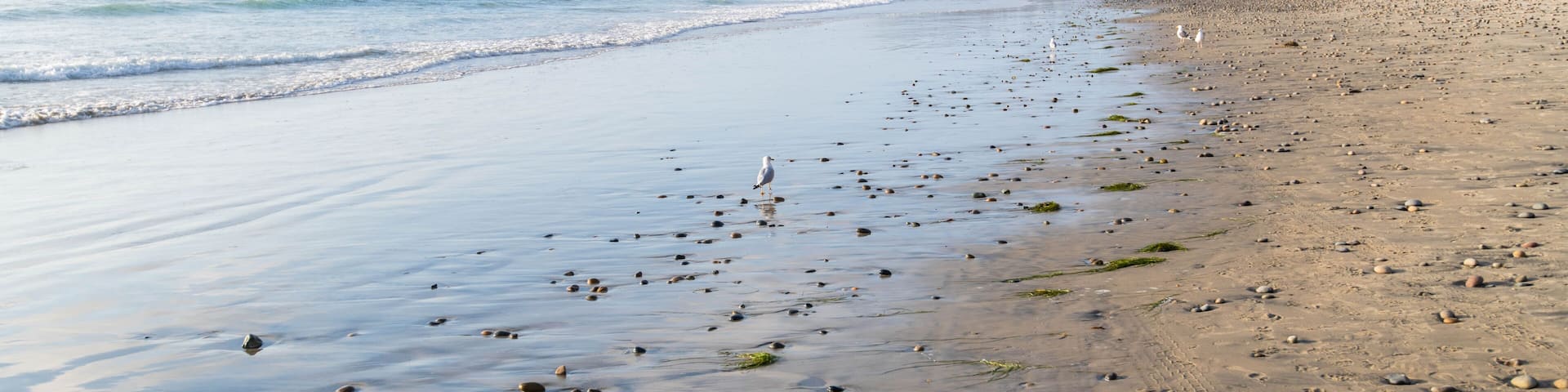 Travel background of the gorgeous California coast, sea salt and spray, beach wash, and wet sand of the Pacific Ocean