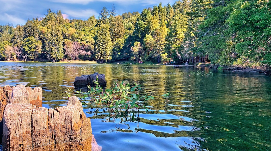 One of my favorite spot in spot in Santa Cruz area. Good place to spend a relaxing time with the family in the weekend. Perfect place for picnic, bbq, fishing and paddle boat.