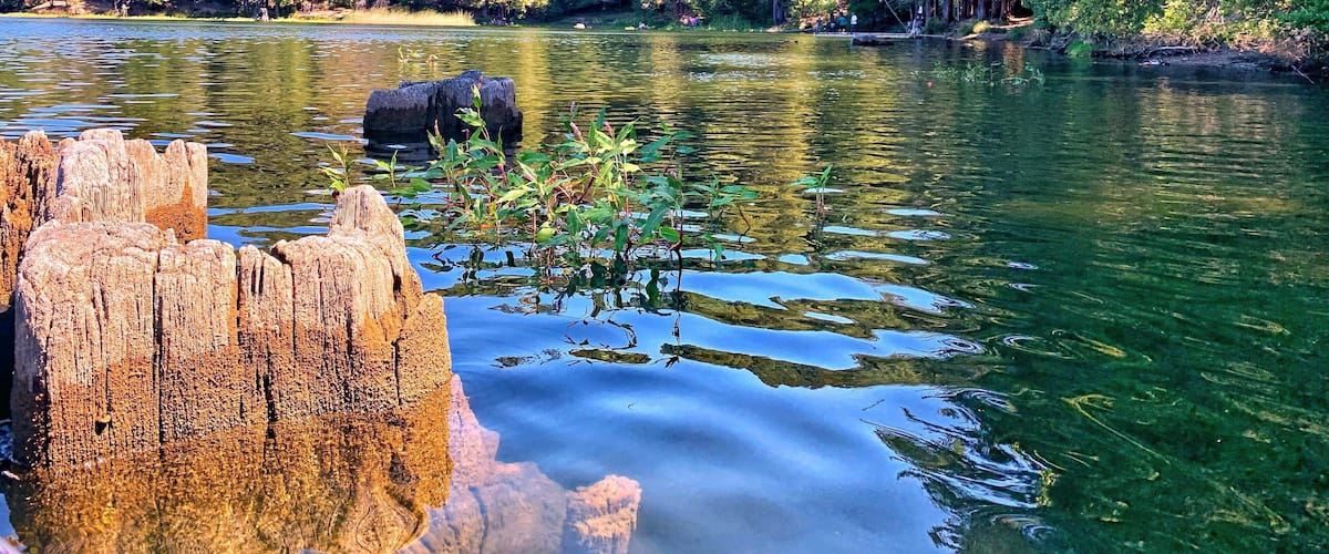One of my favorite spot in spot in Santa Cruz area. Good place to spend a relaxing time with the family in the weekend. Perfect place for picnic, bbq, fishing and paddle boat.