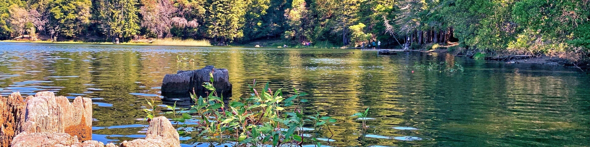 One of my favorite spot in spot in Santa Cruz area. Good place to spend a relaxing time with the family in the weekend. Perfect place for picnic, bbq, fishing and paddle boat.