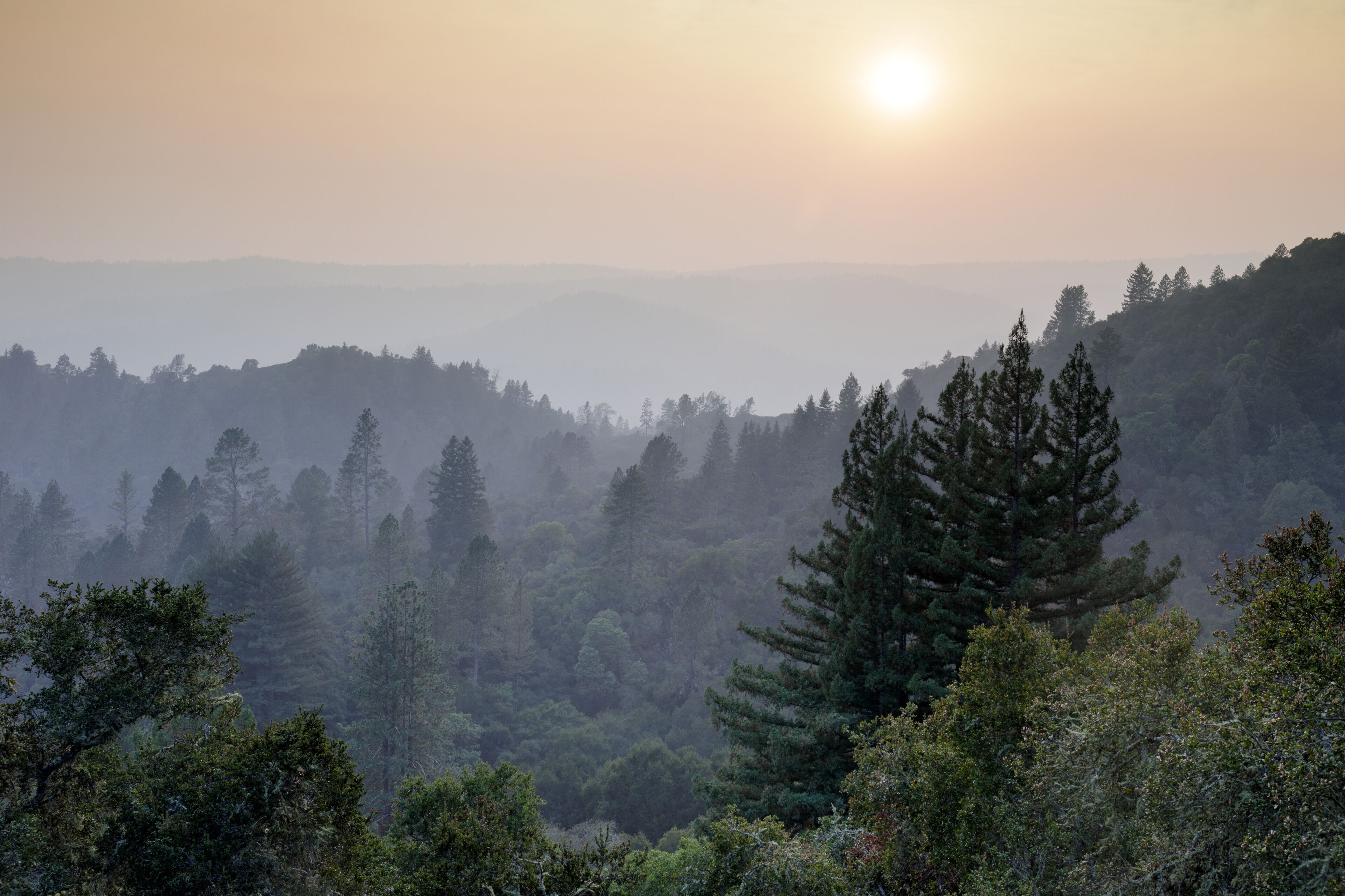 Smoky sunset over Santa Cruz Mountains during 2020 California Wildfires. Quail Hollow Ranch County Park, Santa Cruz County, California, USA.