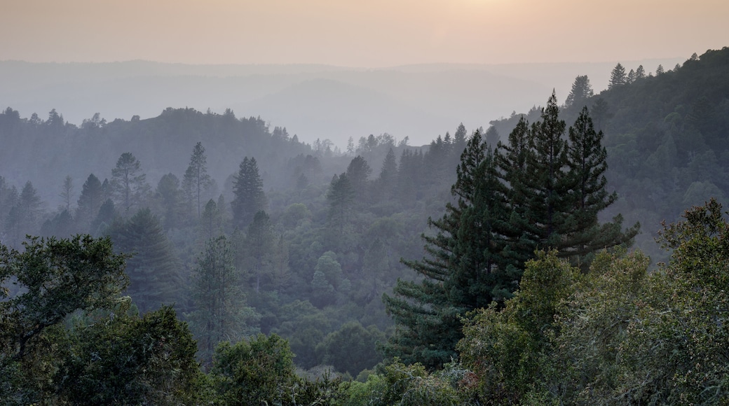Smoky sunset over Santa Cruz Mountains during 2020 California Wildfires. Quail Hollow Ranch County Park, Santa Cruz County, California, USA.