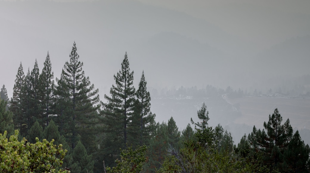 Smoky sunset over Santa Cruz Mountains during 2020 California Wildfires. Quail Hollow Ranch County Park, Santa Cruz County, California, USA.