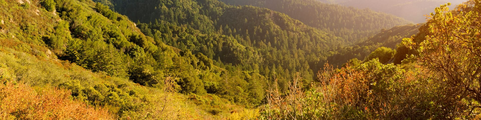 A mountainous landscape with dense forests and rolling hills.
