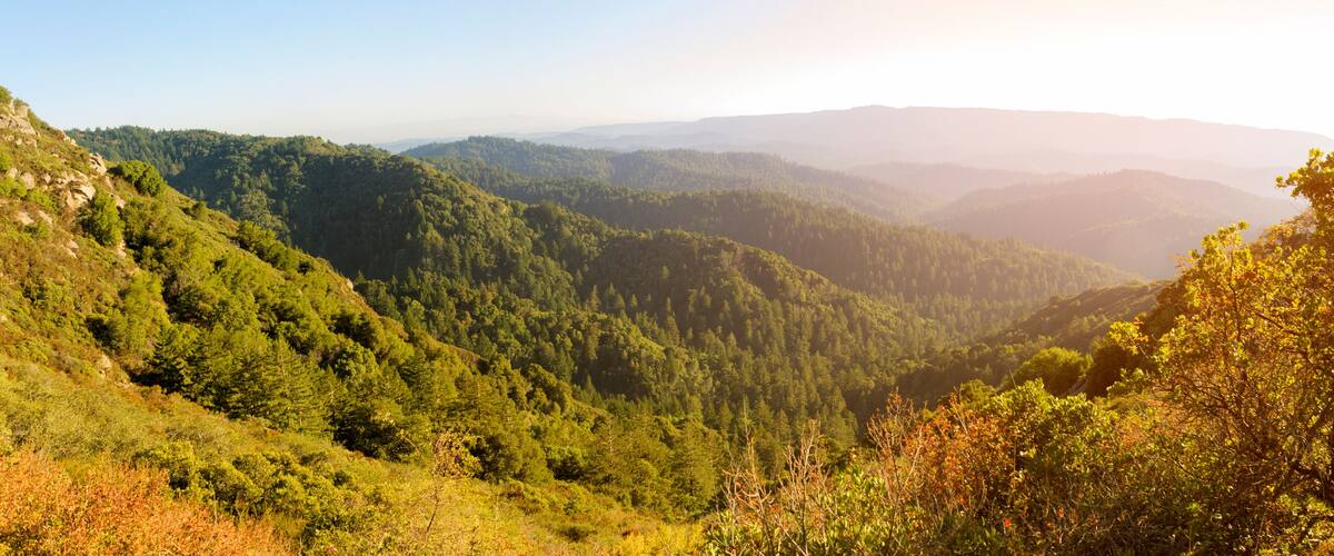 A mountainous landscape with dense forests and rolling hills.