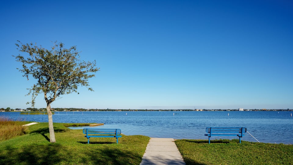 A lakeside park with two blue benches, a walking path, and a tree.