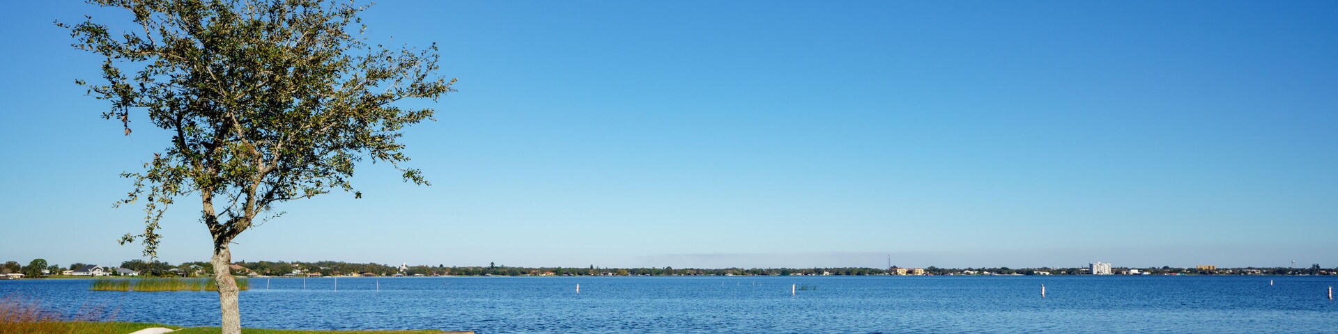 A lakeside park with two blue benches, a walking path, and a tree.