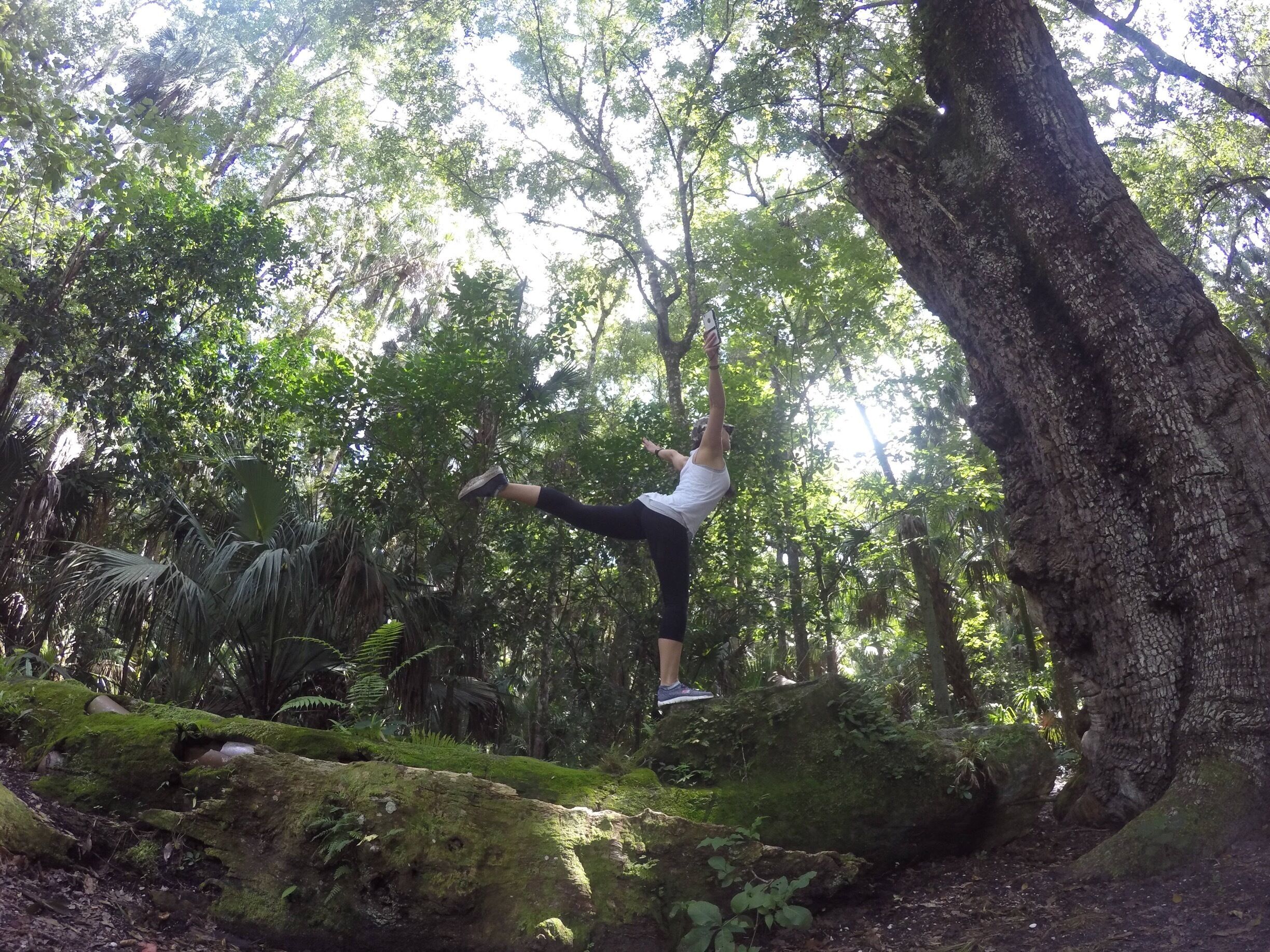 I am one with the tree. 