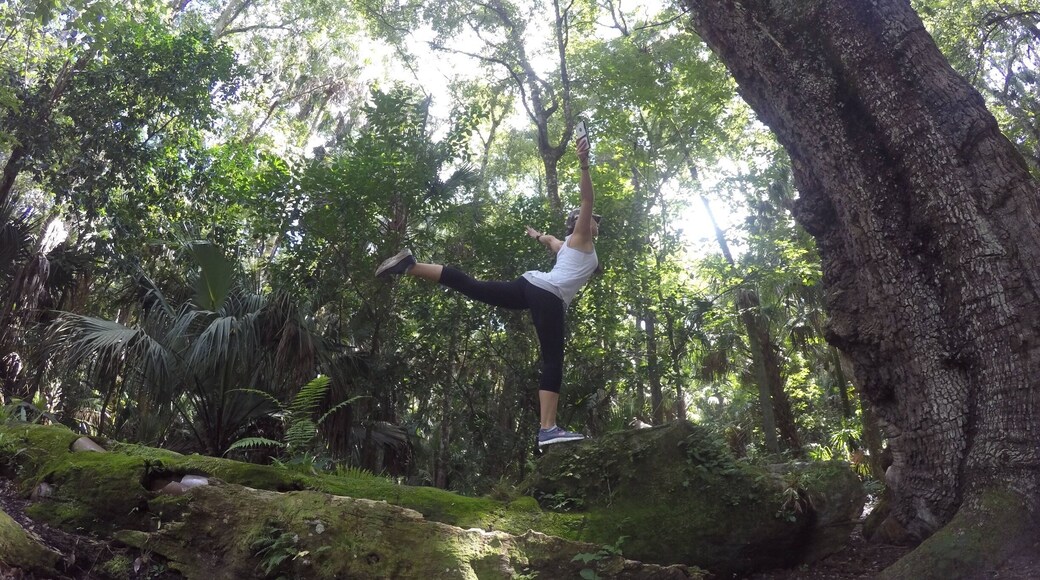 I am one with the tree.