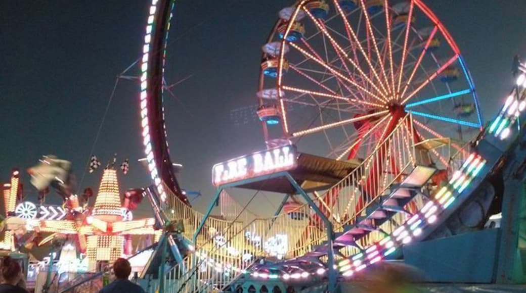 Sights, Sounds, Rides, and 4H Exhibits. Fun for the whole family