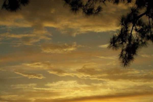 Um pôr do sol sobre a água, com silhuetas de árvores e a silhueta de uma cidade ao longe.