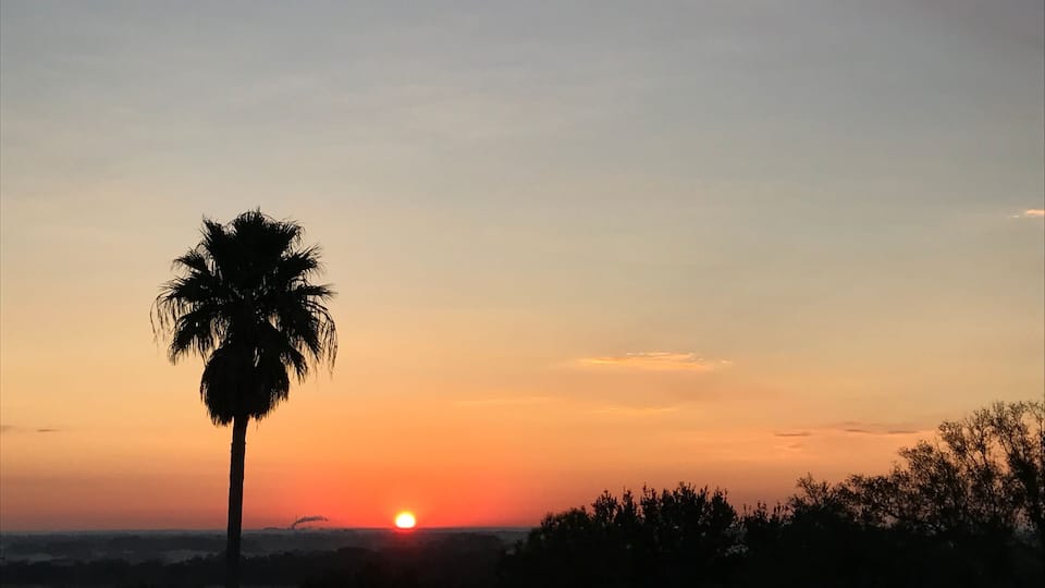 A sunset with a palm tree silhouette against a sky with orange and blue hues.