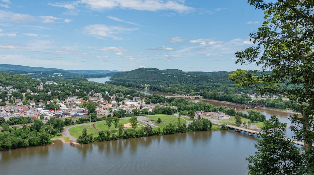View of the Susquehanna River from Shikellamy State Park, PA on a Beautiful Summer Day