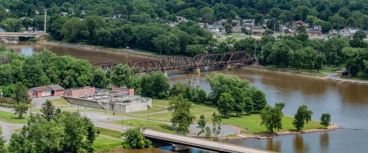 A river with a bridge, surrounded by greenery and a town.