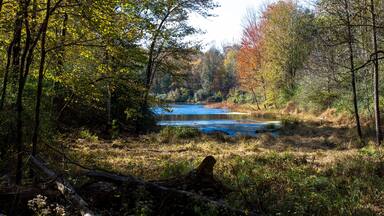Muscatatuck National Wildlife Refuge in Indiana