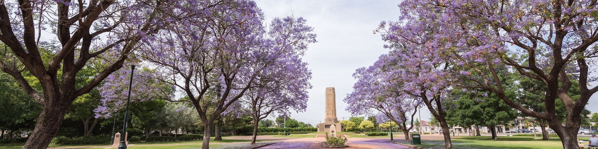 Un sendero bordeado por árboles con flores moradas que conduce a un monumento alto.