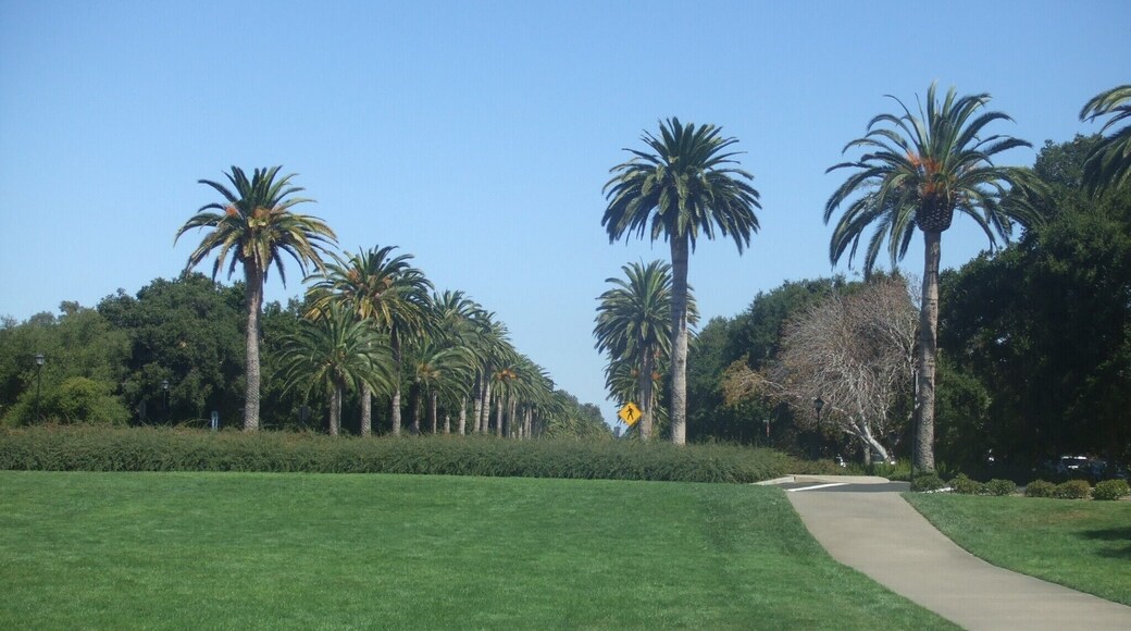 Endless #green at Stanford University - visited this beautiful place for the purpose of my stepsister's registration of her postgraduate studies. #LifeAtExpedia