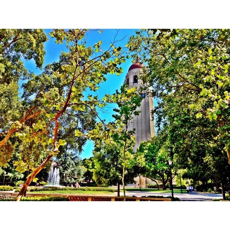 Beautiful summer day at Stanford.