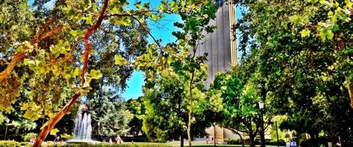 Beautiful summer day at Stanford.