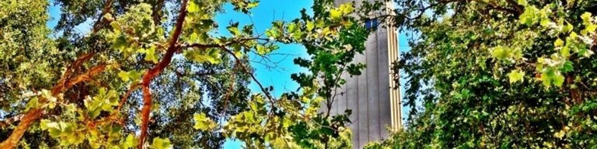 Beautiful summer day at Stanford.