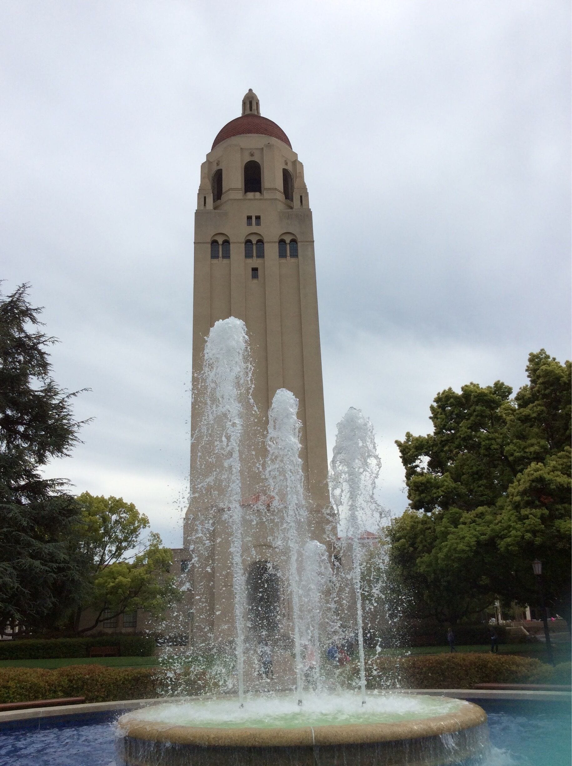 Stanford University 