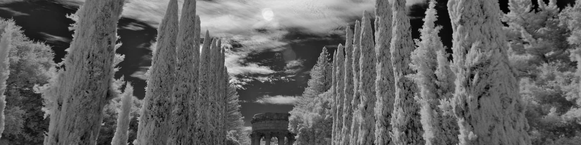 A symmetrical garden with tall cypress trees and a central reflecting pool.