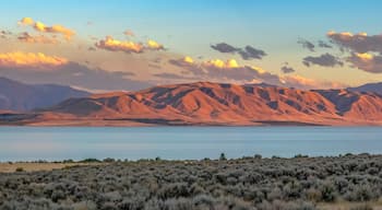 Una cordillera, un extenso cuerpo de agua y vegetación escasa.