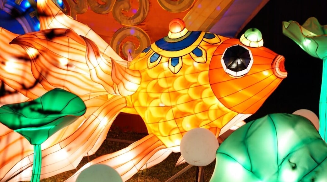 Chinese Lantern Festival