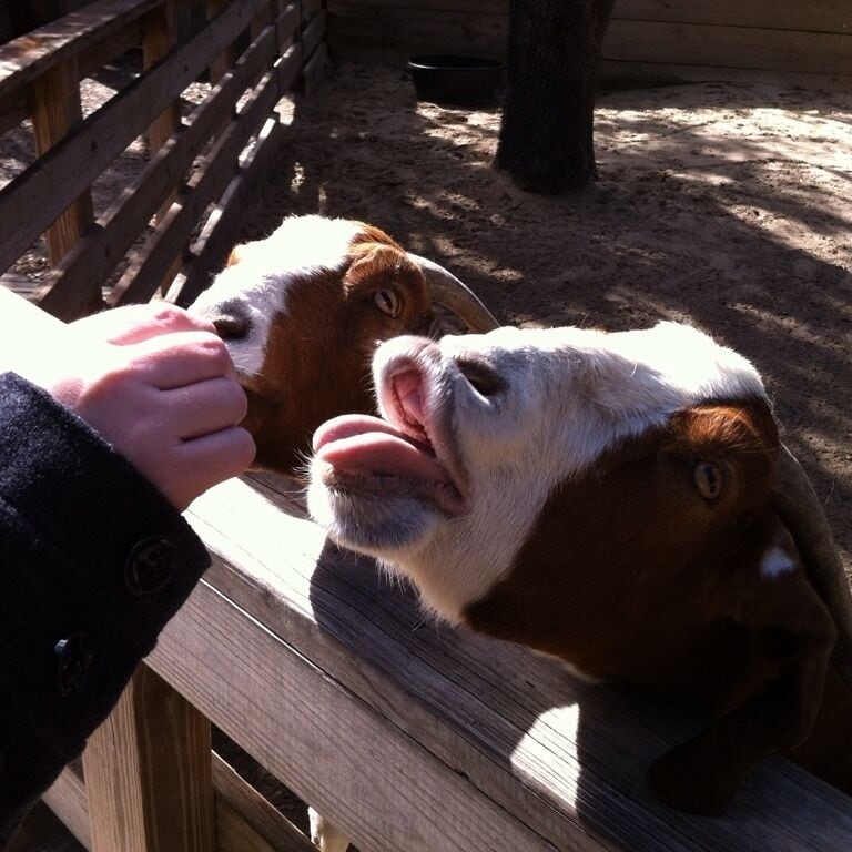 Those guys crack me up. 