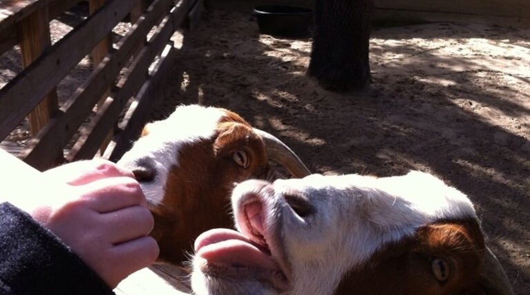 Those guys crack me up.